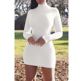 Lovely Casual Turtleneck Skinny White Mini Dress