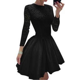 Elegant Plain Long Sleeve Lace Mini Skater Dress Black