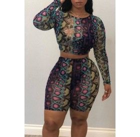 Lovely Casual Printed Multicolor Two-piece Shorts Set
