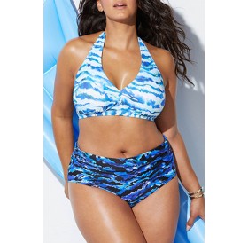 Lovely Printed Blue Plus Size Two-piece Swimwear